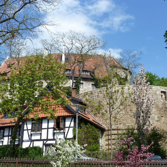 Die Hornburg im Frühling