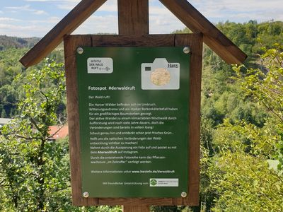 Fotospot Schild an der Verlobungsurne bei Alexisbad