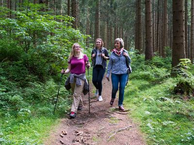 Wandern im Harz