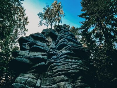 Geführte Touren im Harz - Klippen - Die Wanderei 