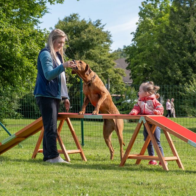 Hotel der Wolfshof in Wolfshagen - Spielen mit Hund