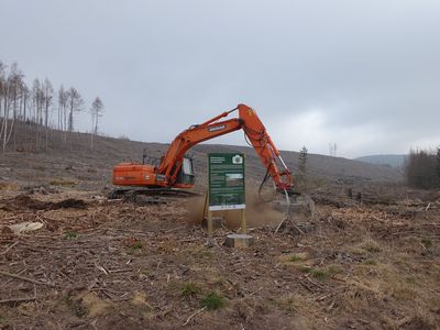 Beräumung der Fläche an der Plessenburg mit Bagger