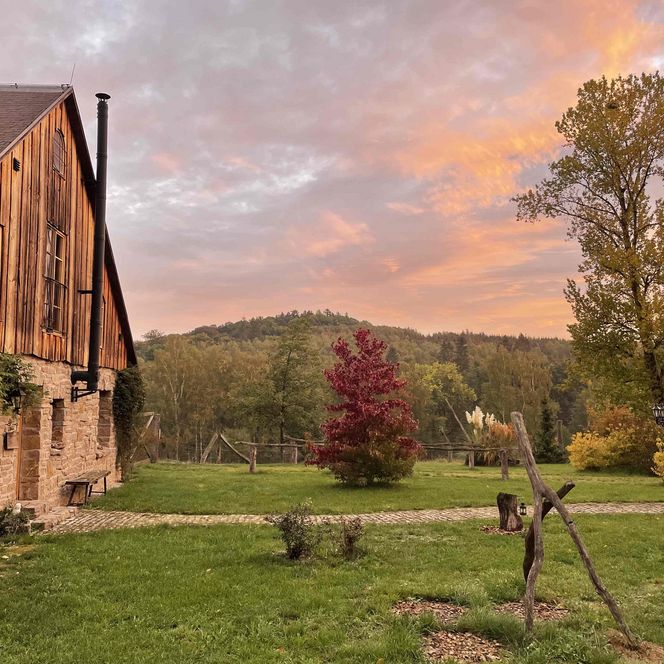 Earl´s Lane - Sonnenaufgang im Herbst in Bad Lauterberg