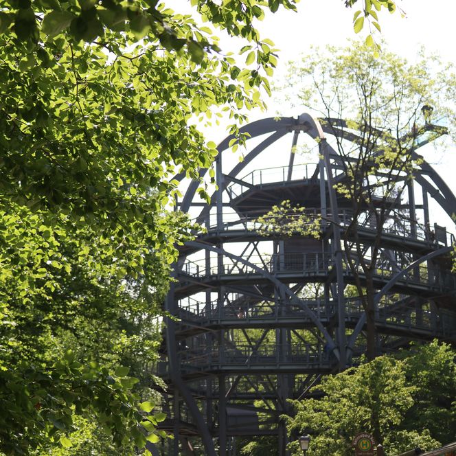 Baumwipfelpfad-Hallo-Frühling