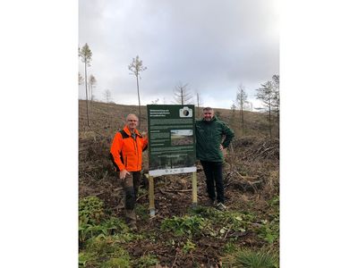 angebrachte Infotafel Waldspende 