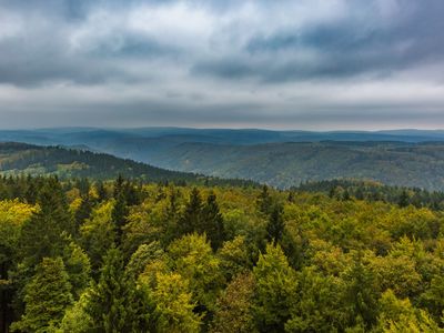 Südharz Blick