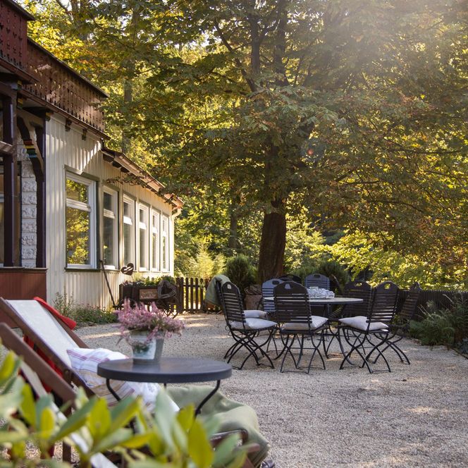 Dei Sennhütte in Bad Harzburg - Terrasse
