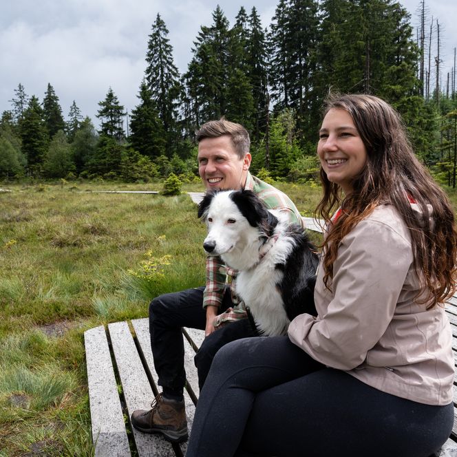 Mit Hund im Torfhausmoor