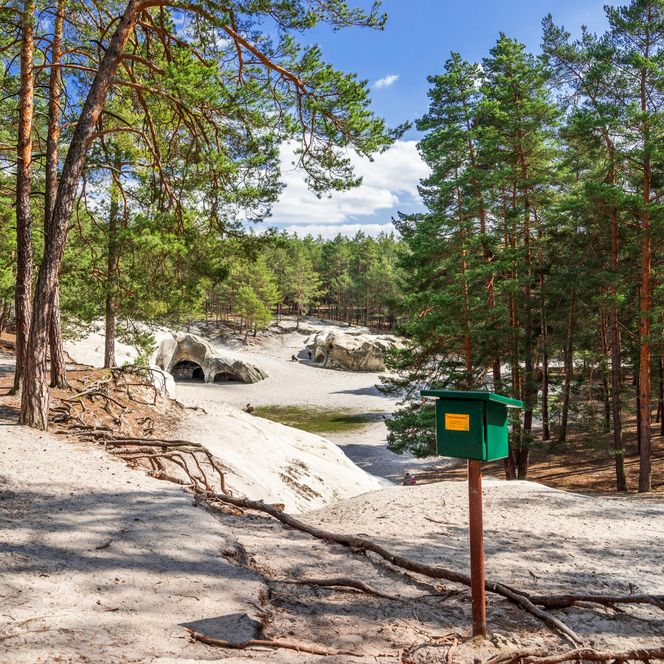 Harzer Wandernadel Stempelkasten an den Sandsteinhöhlen