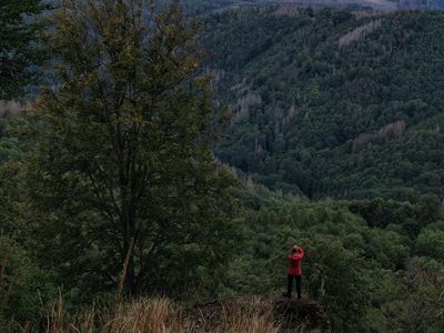 Brockenblick vom Dampfloksteig