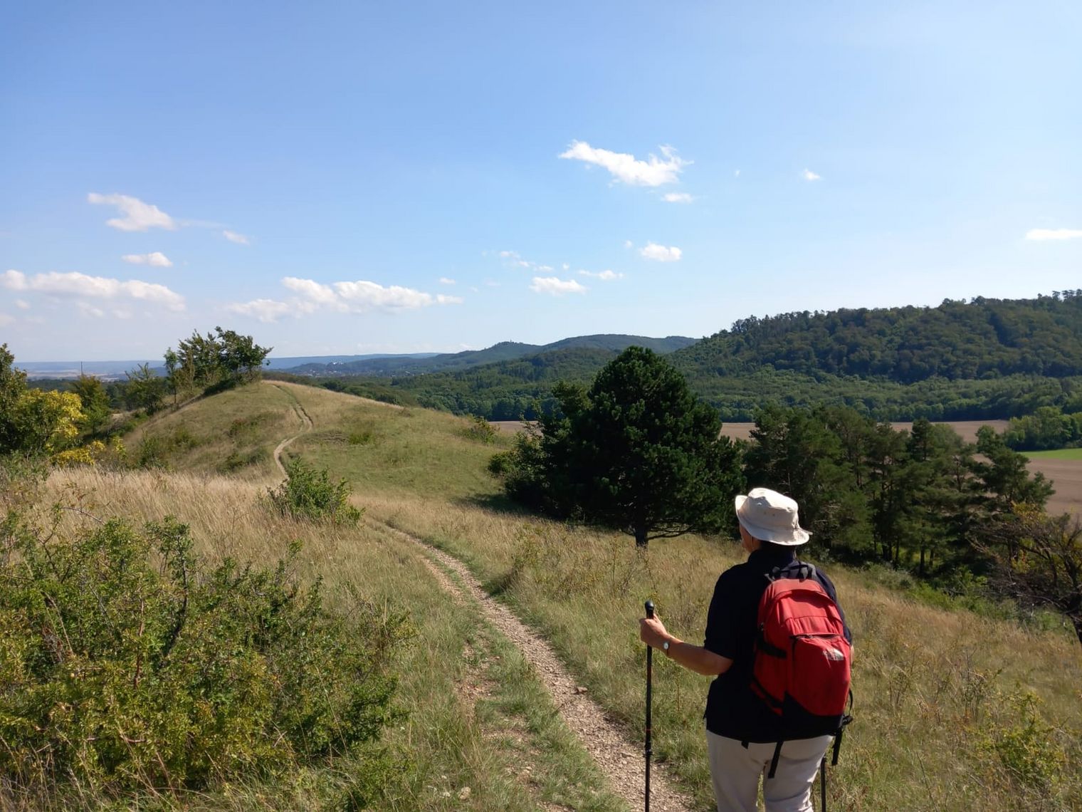 Schönes Harzvorland