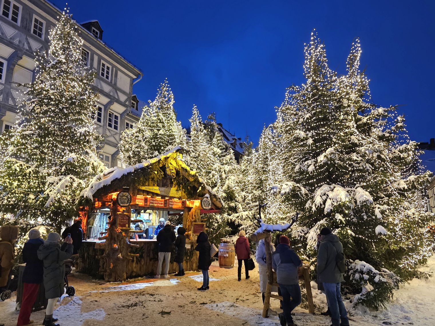 Juleskov på julemarkedet i Goslar