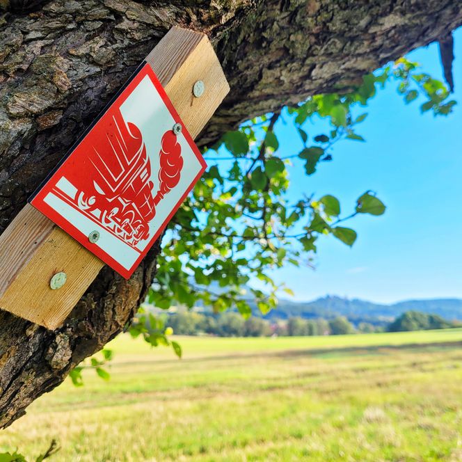 Ansicht der Harzer Dampfloksteig Wegemarke