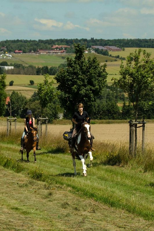 Wanderreiten im Harz - Hasselfelde - im Galopp