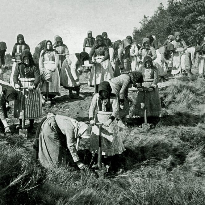 Kulturfrauen bei der Aufforstung