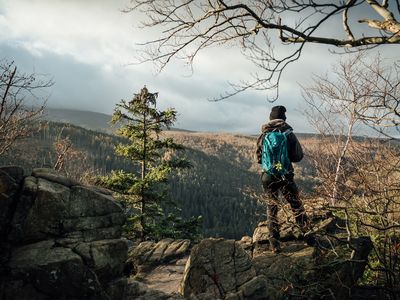 Aussicht Nationalpark Harz