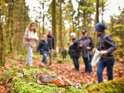 Wanderungen in Hahnenklee