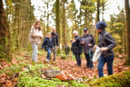 Wanderungen in Hahnenklee